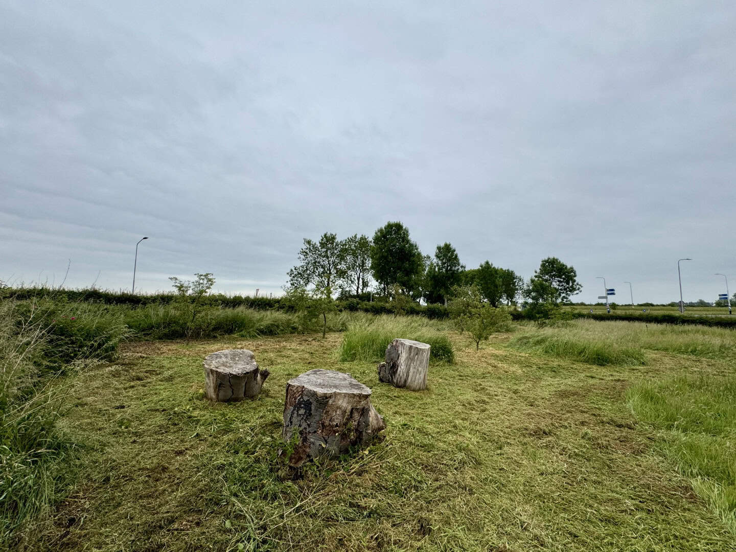 Jouw dagbesteding, jouw nieuwe plek. | Dagbesteding biedt rust en verbinding met de natuur, samen groeien in een groene omgeving.