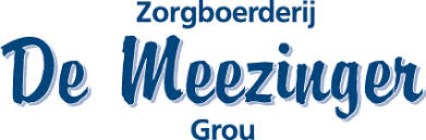 De Meezinger