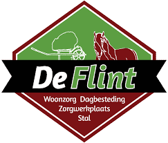 De Flint