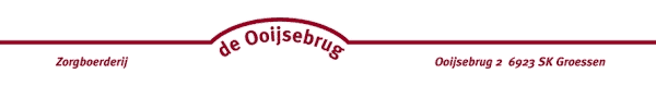 De Ooijsebrug