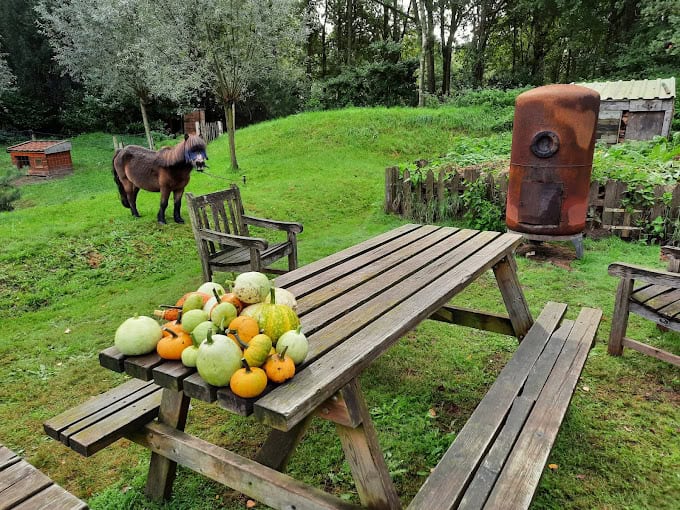 Jouw dagbesteding, jouw nieuwe plek. Een houten picknicktafel met een verscheidenheid aan kalebassen in een grasveld bij een roestige barbecuesmoker. Een klein paard graast op de achtergrond bij bomen en houten constructies.