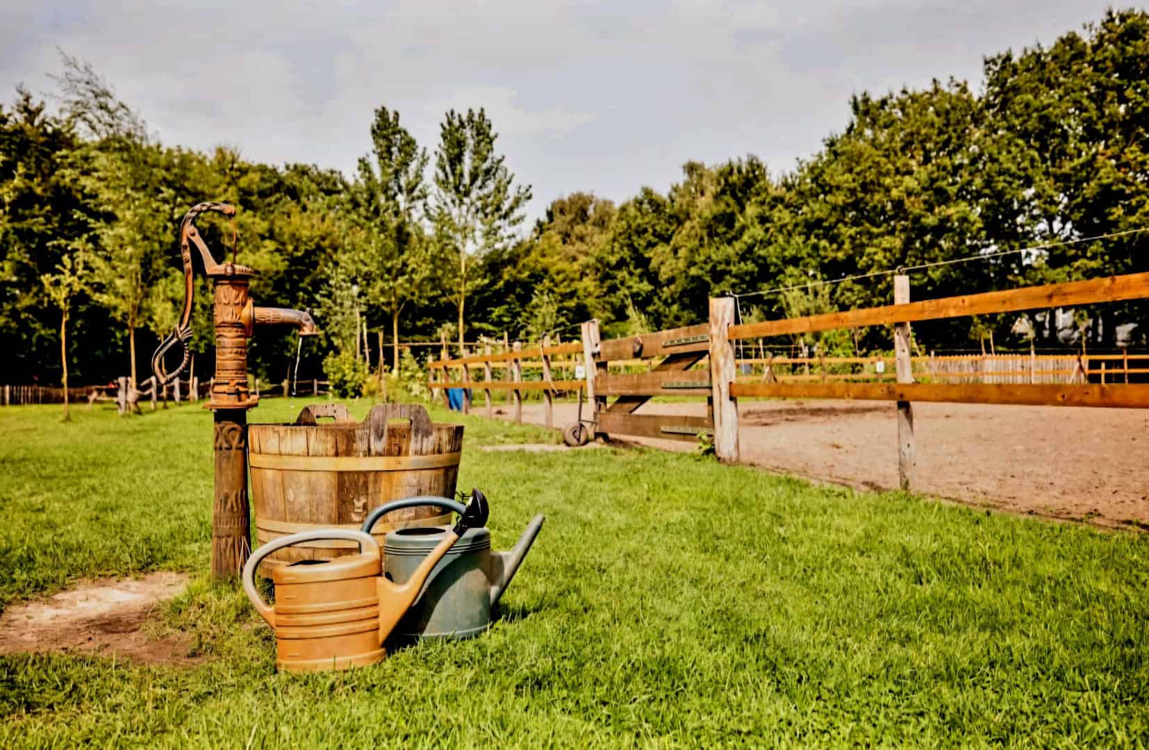 Buiten dagbesteding Dagbesteding dierenDagbesteding moestuin Dagbesteding buitenacitiviteiten