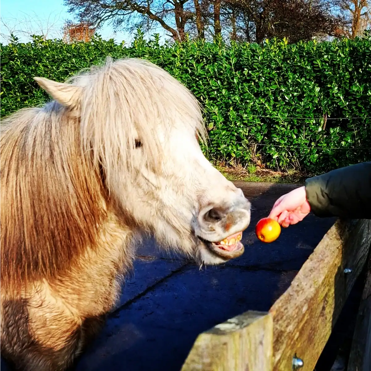 Jouw dagbesteding, jouw nieuwe plek. | Dagbesteding biedt waardevolle en sociale activiteiten voor mensen met diverse zorgvragen.
