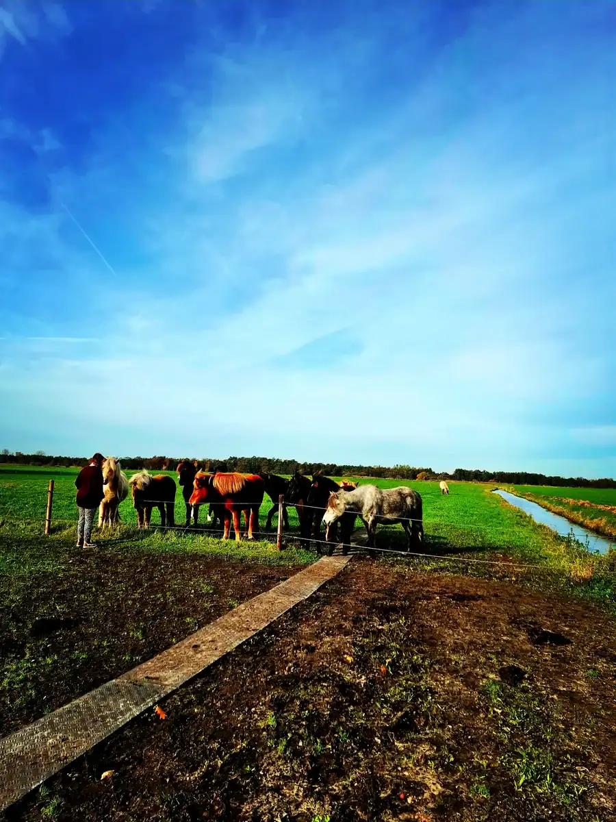 Jouw dagbesteding, jouw nieuwe plek. | LWDagbeleving | Buitenleven bij dagbesteding: dieren en natuur bieden rust, ruimte en verbondenheid met elkaar.