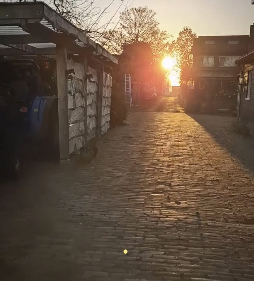 Jouw dagbesteding, jouw nieuwe plek. | LWDagbeleving Zonsondergang Dagbesteding draagt bij aan verbinding en groei, passend op vele plekken.