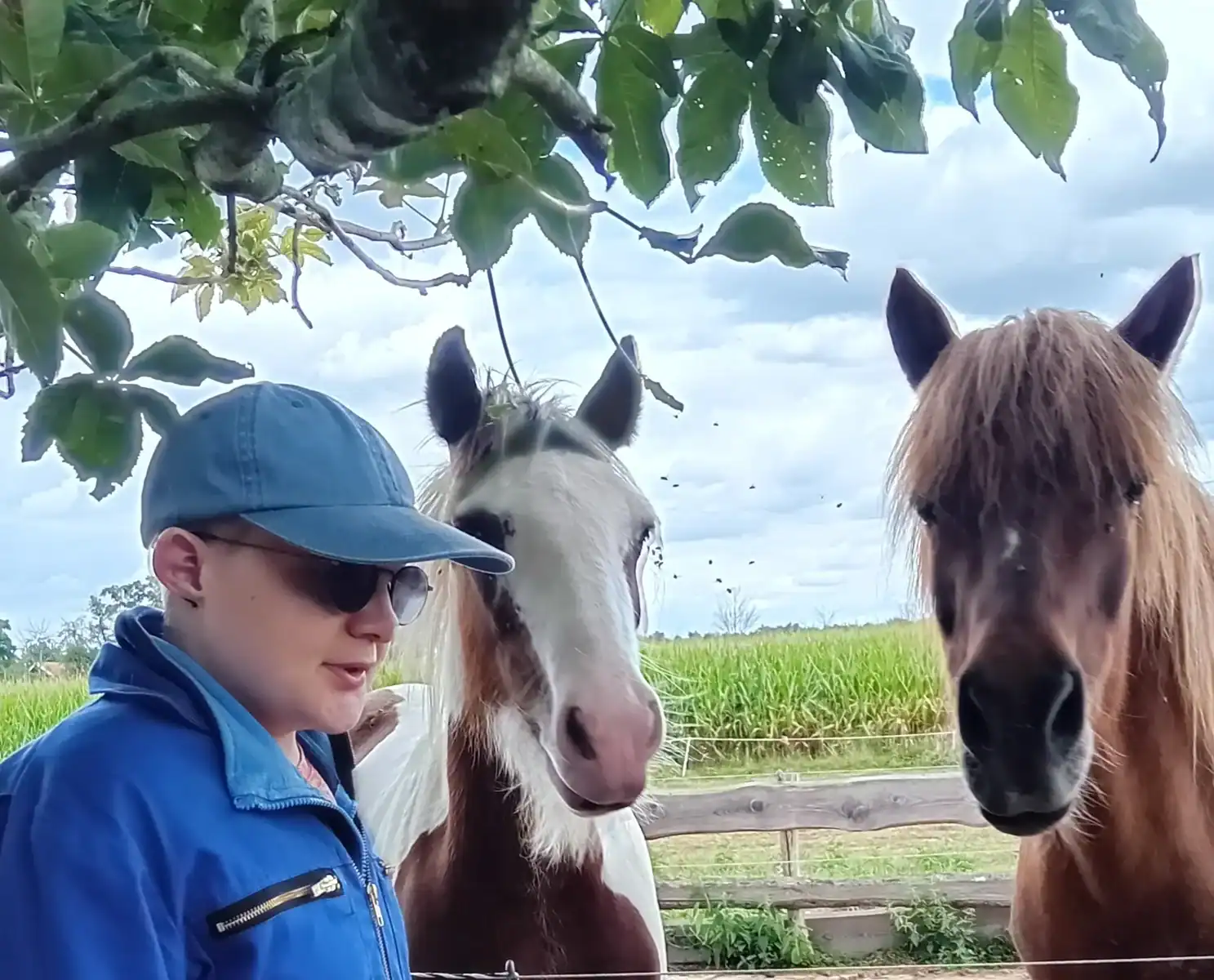 Jouw dagbesteding, jouw nieuwe plek. | Een persoon met een blauwe pet en een blauw jasje staat naast twee paarden in een weiland bij De Junahoeve. | Dagbesteding met dieren.